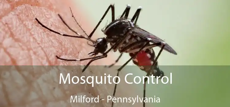 Mosquito Control Milford - Pennsylvania