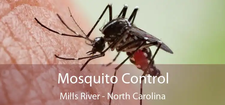 Mosquito Control Mills River - North Carolina