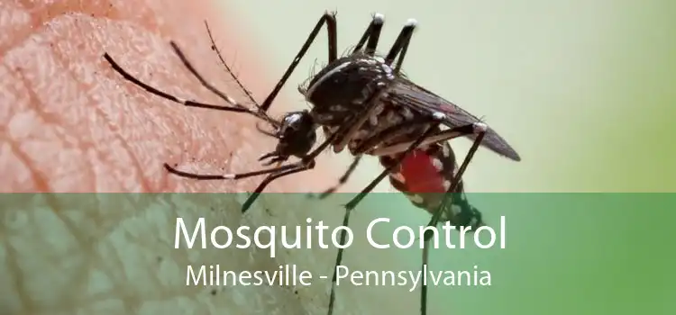 Mosquito Control Milnesville - Pennsylvania