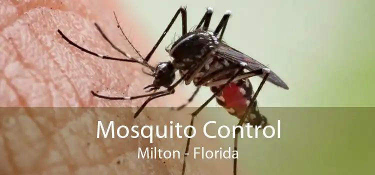 Mosquito Control Milton - Florida