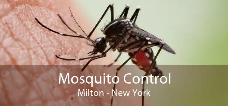 Mosquito Control Milton - New York