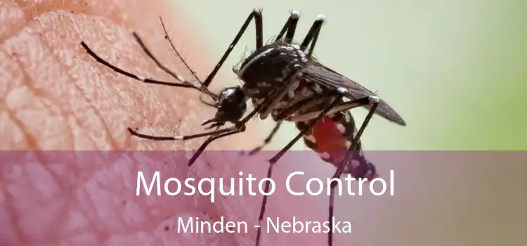 Mosquito Control Minden - Nebraska