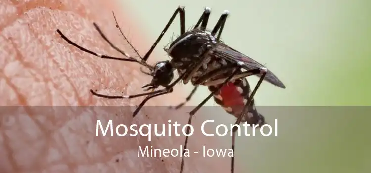 Mosquito Control Mineola - Iowa