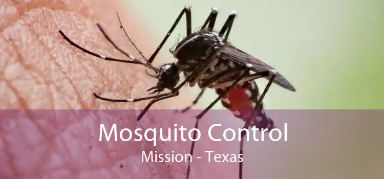 Mosquito Control Mission - Texas