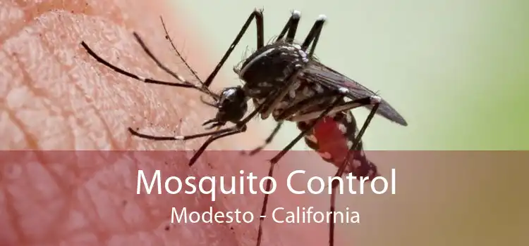 Mosquito Control Modesto - California