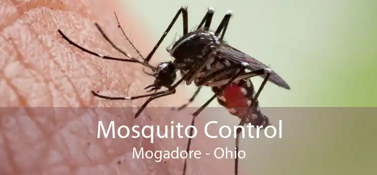 Mosquito Control Mogadore - Ohio