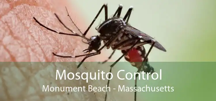 Mosquito Control Monument Beach - Massachusetts