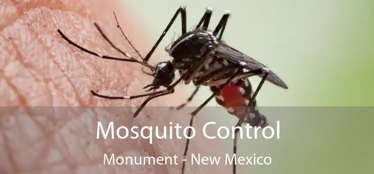 Mosquito Control Monument - New Mexico