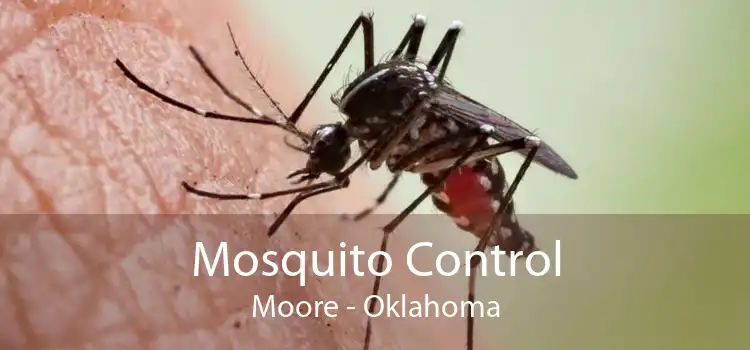 Mosquito Control Moore - Oklahoma