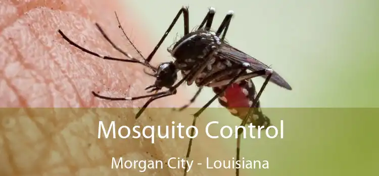 Mosquito Control Morgan City - Louisiana