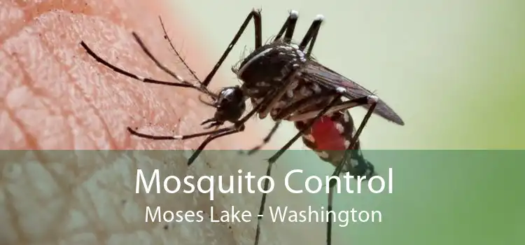 Mosquito Control Moses Lake - Washington