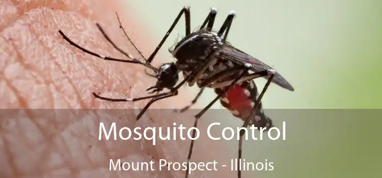 Mosquito Control Mount Prospect - Illinois