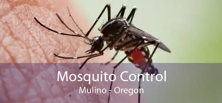 Mosquito Control Mulino - Oregon