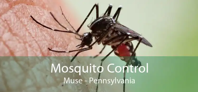 Mosquito Control Muse - Pennsylvania
