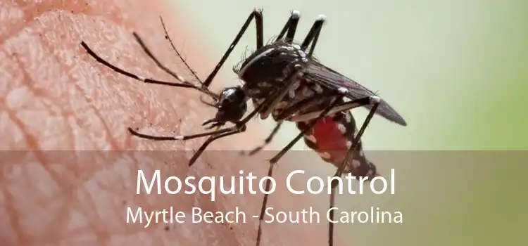 Mosquito Control Myrtle Beach - South Carolina