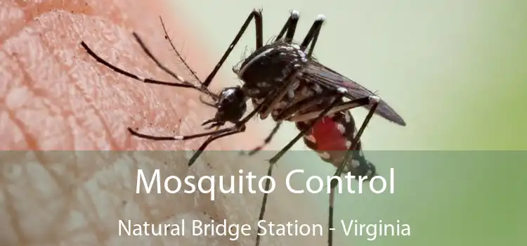 Mosquito Control Natural Bridge Station - Virginia