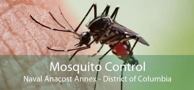 Mosquito Control Naval Anacost Annex - District of Columbia