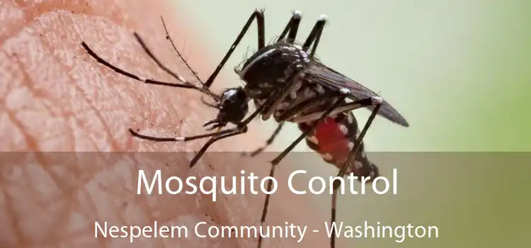 Mosquito Control Nespelem Community - Washington