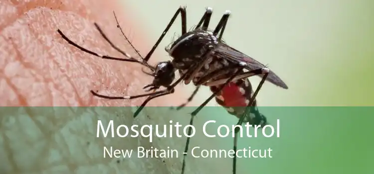 Mosquito Control New Britain - Connecticut