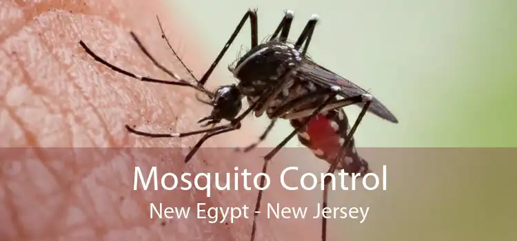 Mosquito Control New Egypt - New Jersey