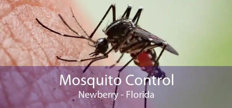 Mosquito Control Newberry - Florida