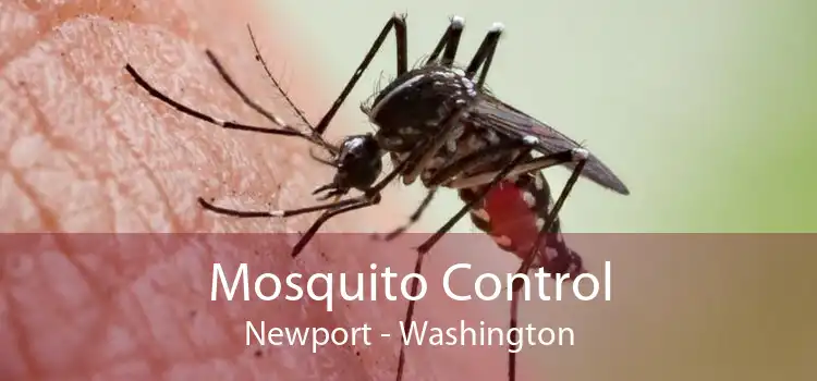 Mosquito Control Newport - Washington