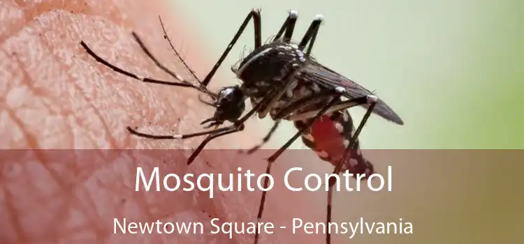 Mosquito Control Newtown Square - Pennsylvania