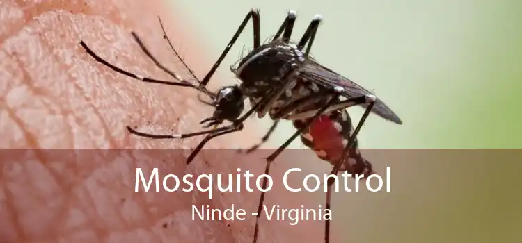 Mosquito Control Ninde - Virginia