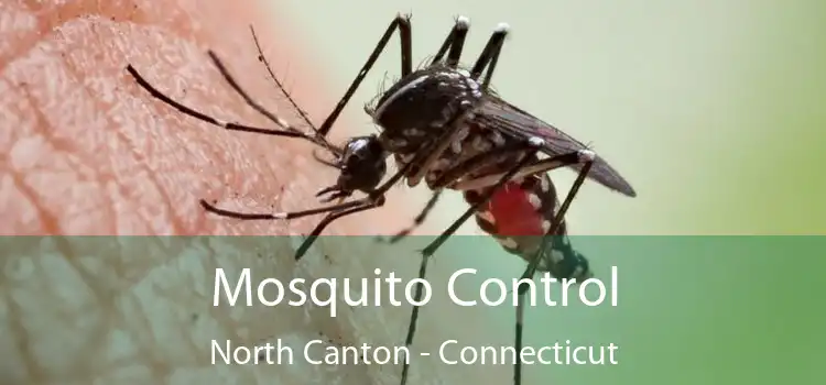 Mosquito Control North Canton - Connecticut