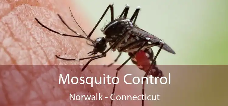 Mosquito Control Norwalk - Connecticut