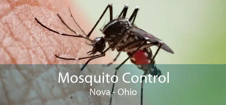 Mosquito Control Nova - Ohio