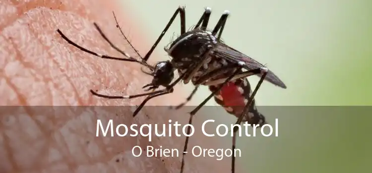 Mosquito Control O Brien - Oregon