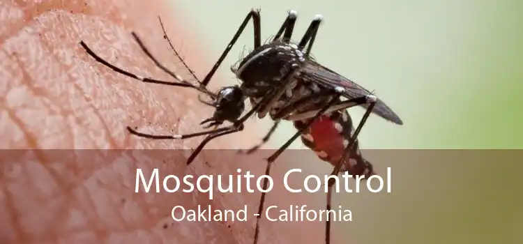 Mosquito Control Oakland - California