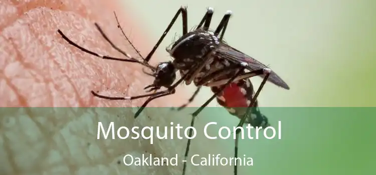 Mosquito Control Oakland - California