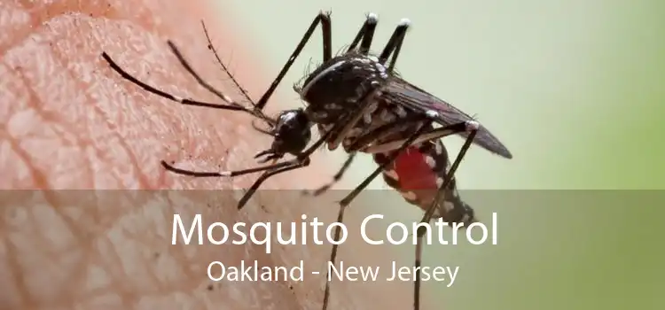 Mosquito Control Oakland - New Jersey