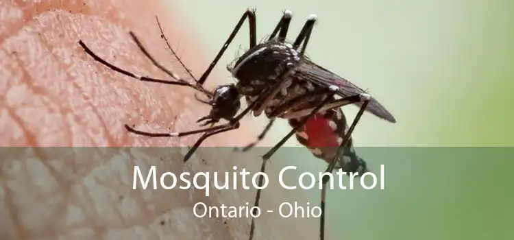 Mosquito Control Ontario - Ohio