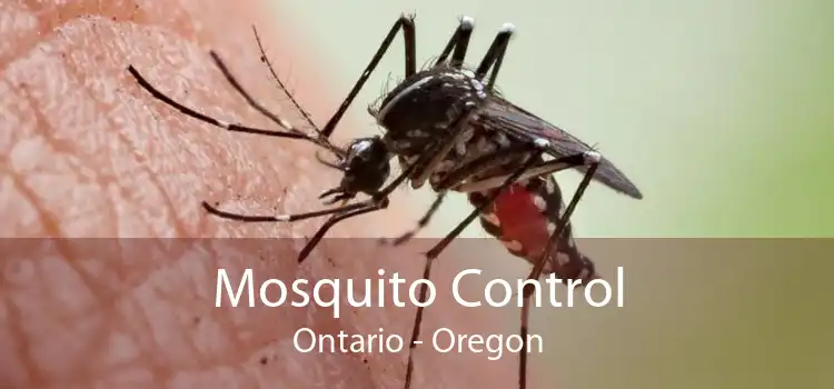 Mosquito Control Ontario - Oregon