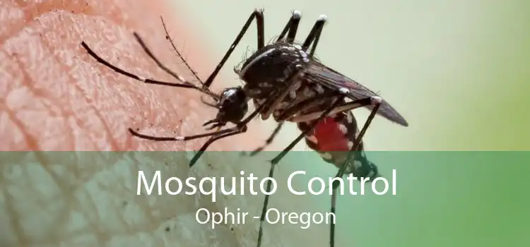 Mosquito Control Ophir - Oregon