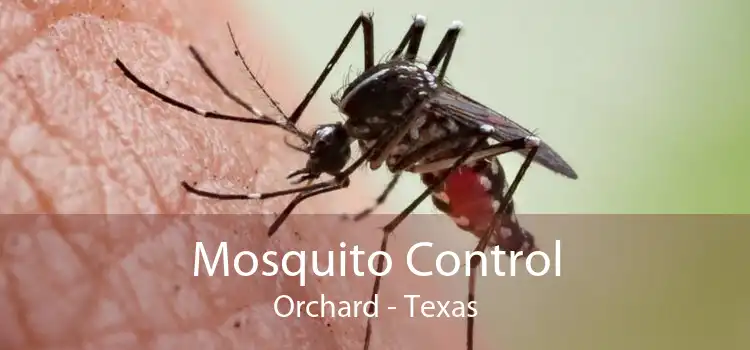 Mosquito Control Orchard - Texas