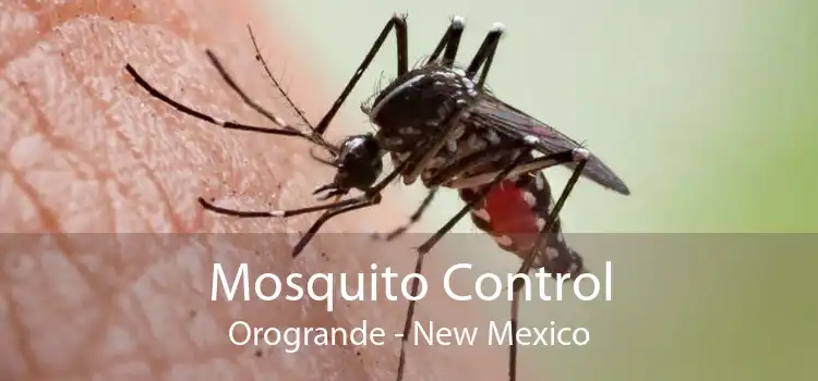 Mosquito Control Orogrande - New Mexico