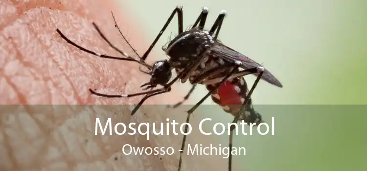 Mosquito Control Owosso - Michigan