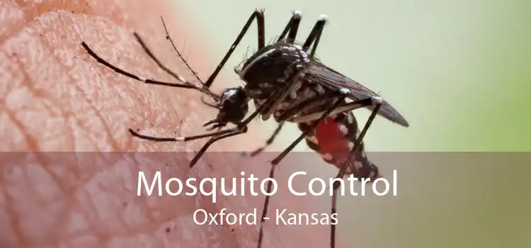 Mosquito Control Oxford - Kansas