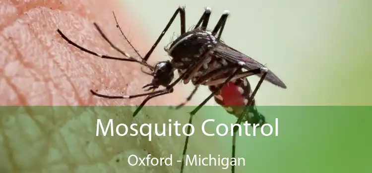 Mosquito Control Oxford - Michigan