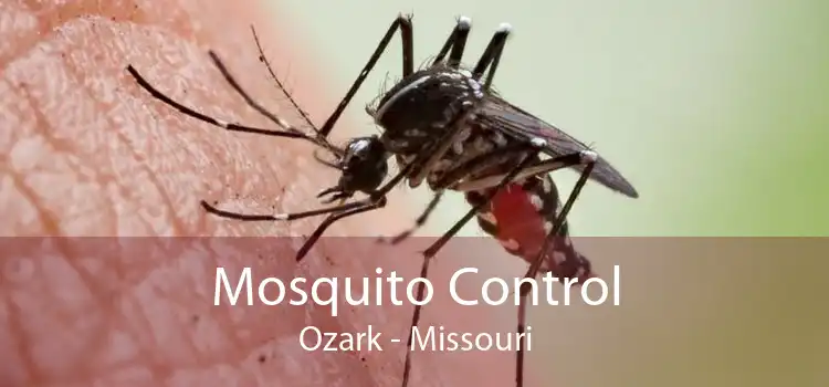 Mosquito Control Ozark - Missouri