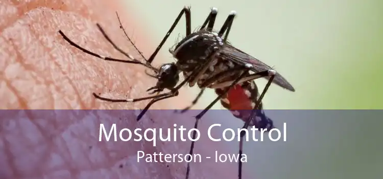 Mosquito Control Patterson - Iowa