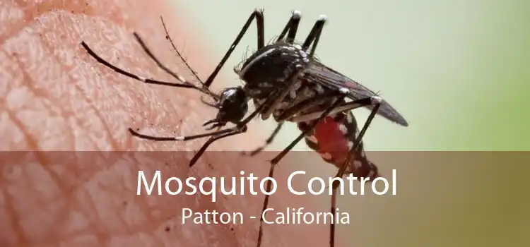 Mosquito Control Patton - California