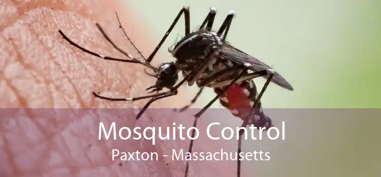 Mosquito Control Paxton - Massachusetts