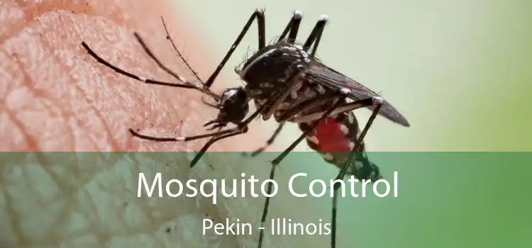 Mosquito Control Pekin - Illinois