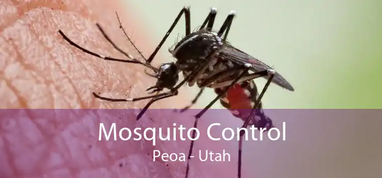 Mosquito Control Peoa - Utah