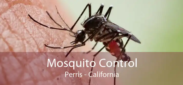 Mosquito Control Perris - California